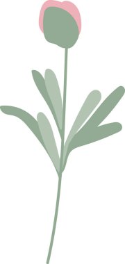 Kır Çiçeği Kök Vektör İllüstrasyonu