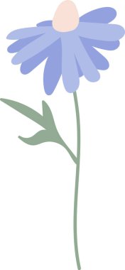 Kır Çiçeği Kök Vektör İllüstrasyonu