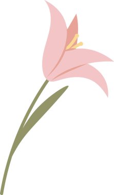 Tropikal Çiçek El Çekim Vektörü İllüstrasyonu