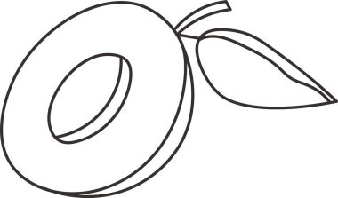 Doodle Kayısı Meyve Vektörü İllüstrasyonu