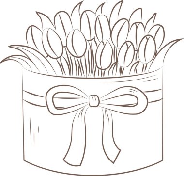 Lalelerin detaylı bir taslak çizimi zarif bir şekilde bir kurdeleyle birlikte yuvarlak bir hediye kutusuna yerleştirilmiş. Çizim, dekoratif bir kapta sunulan çiçeklerin güzelliğini yakalıyor. Çizgi film vektör illüstrasyonu