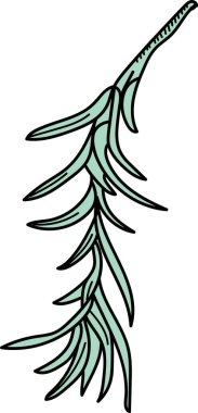 Uzun yapraklı, sade ve temiz bir biberiye bitkisinin stilize edilmiş bir taslağı. Bitki illüstrasyonunda akıcı çizgiler ve minimalist detaylar yer alıyor. Çizgi film vektör illüstrasyonu.