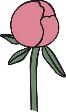 Minimalist tarzda yaprakları olan tek bir şakayık tomurcuğu. Çiçek temiz çizgiler ve modern bir estetik ile tasvir edilir. Çizgi film vektör illüstrasyonu.