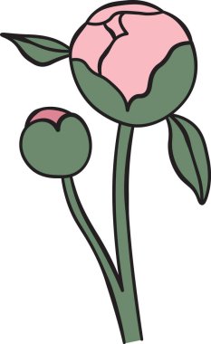 Yaprakları temiz, minimalist bir şekilde betimlenmiş şakayık tomurcukları. Basit çizgiler ve şekiller modern bir çiçek tasarımı yaratır. Çizgi film vektör illüstrasyonu.