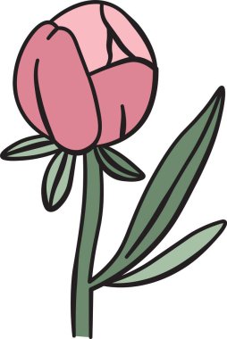 Uzun yaprakları olan tek bir şakayık tomurcuğu. Basit, çizilmiş bir çizim stili. Çiçek, zarif biçimini vurgulayarak, en az detay ve temiz çizgilerle betimlenir. Çizgi film vektör illüstrasyonu.