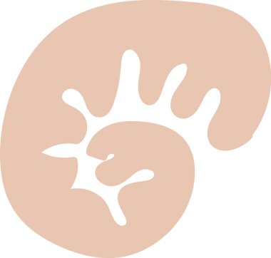 Pürüzsüz kıvrımları ve organik çizgileri olan bir notilus kabuğunun soyut bir temsili. Tasarım minimalist estetik ile sarmal bir şekle benziyor. Çizgi film vektör illüstrasyonu.