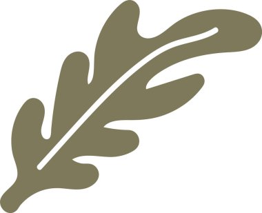 Yumuşak kenarlı bir meşe yaprağı ve minimalist tarzda merkezi bir damar. Yaprak, temiz çizgiler ve düz bir görünümle tasvir edilir. Çizgi film vektör illüstrasyonu