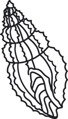 Karmaşık kıvrımlı ve minimalist tarzda çizgileri olan sarmal bir deniz kabuğunun ayrıntılı bir taslağı. Kabuk zarif hatları ve akış kalıplarıyla tasvir edilir. Çizgi film vektör illüstrasyonu.