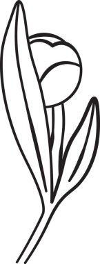 Minimalist tarzda iki yapraklı basit bir şakayık çizimi. Çiçek temiz çizgiler ve modern bir estetik ile tasvir edilir. Çizgi film vektör illüstrasyonu.