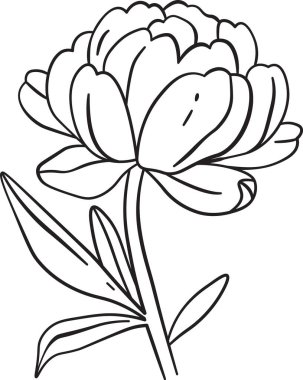 Minimalist tarzda yaprakları olan bir şakayığın ayrıntılı çizimi. Çiçek temiz çizgiler ve basit şekillerle tasvir edilir, zarafetini vurgular. Çizgi film vektör illüstrasyonu.