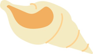 Basit bir deniz kabuğu, düz kıvrımlar ve soluk renk düzeni ile elle çizilmiş. Deniz nesnesi, yumuşak çizgiler ve pastel tonlar içeren minimalist bir tarzda gösterilir. Çizgi film vektör illüstrasyonu