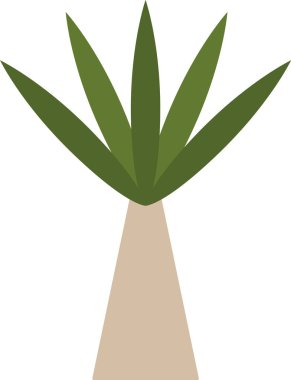 Geometrik palmiye keskin açıları ve minimalist bir tarzı vardır. Bu tropikal bitki, yayılan yaprakları destekleyen konik bir gövdeye sahiptir. Çizgi film vektör illüstrasyonu