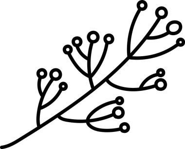 Böğürtlenli bir filiz cesur bir sanat tarzıyla tasvir edilir. Botanik görüntüde ince saplı yuvarlak meyve kümeleri olan bir bitki görülüyor. Çizgi film vektör illüstrasyonu