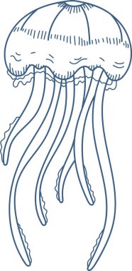 Elle çizilmiş dokunaçları olan bir denizanası. İllüstrasyon, deniz canlılarının narin formlarını karmaşık bir çizgiyle yakalıyor. Çizgi film vektör illüstrasyonu.