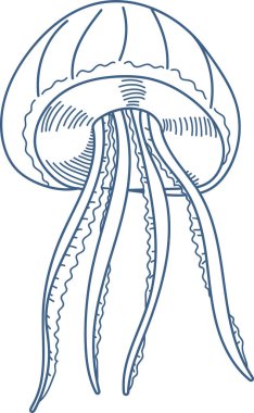 Uzun akış dokunaçları olan bir denizanası. Detaylı bir sanat çizgisi şeklinde çizilmiş. İllüstrasyon, denizanası formunun ve hareketinin zarafetini yakalar. Çizgi film vektör illüstrasyonu.