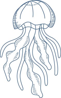 Zarif çizgi sanatı ve detaylı dokunaçlarıyla çizilmiş bir denizanası. Robot resimde çan üzerinde akış çizgileri ve karmaşık desenler var. Çizgi film vektör illüstrasyonu.