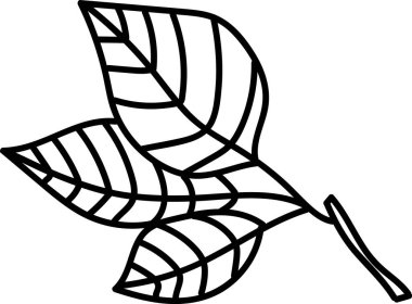 Üç detaylı yaprağın çizildiği bir dal. Taslak, belirgin damarları ve pürüzsüz bir dış hatları olan yaprakları tasvir ediyor. Çizgi film vektör illüstrasyonu.