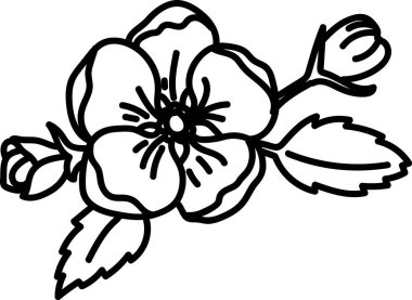 İki tomurcuklu ve kalın çizgili sanat tarzıyla ayrılan ayrıntılı bir çiçek. Resimde karmaşık taç yaprakları ve yaprak desenleri vurgulanıyor. Çizgi film vektör illüstrasyonu.