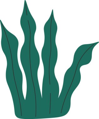 Dalgalı yapraklı deniz yosunu. Akan çizgilerle betimlenmiş kıvrımlı su bitkisi. Çizgi film vektör illüstrasyonu