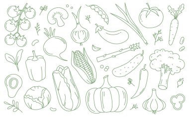 Sebzeler, farklı taze bahçe hasadı organik doğal besin bileşenleri vektör illüstrasyonuyla çizilmiş. Sağlıklı sebzeler vejetaryen yemeği ve baharatlı çizim tasarım elementleri koleksiyonu