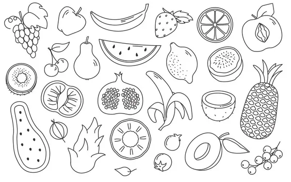 Doğal meyve ve dut karalama seti. Tüm organik bahçe hasadı koleksiyonu. Egzotik vitamin besin, lezzetli antioksidan ürünler grunge tasarım elemanları vektör illüstrasyonu