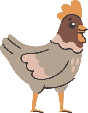 Neşeli bir tavuk basit çizgiler ve şekillerle çizgi film tarzında tasvir edilir. Kümes hayvanı başı dönük durarak dostça bir ifade sergiliyor. Çizgi film vektör illüstrasyonu