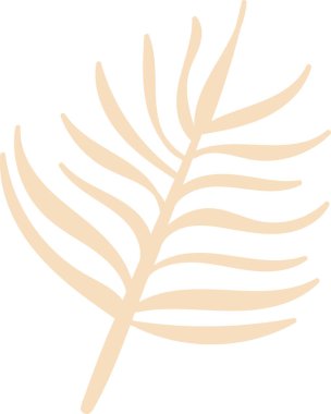 Yumuşak kıvrımlı ve uzun yapraklı stilize bir palmiye yaprağı. Yaprak, nazik çizgilerle, temiz ve soyut bir şekilde tasvir edilir. Çizgi film vektör illüstrasyonu.