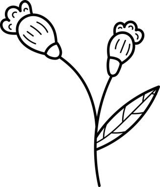 Yapraklı bir sapın üzerine iki çiçek tomurcuğunun basit bir çizimi. Resimde temiz çizimler ve en az detay yer alıyor. Çizgi film vektör illüstrasyonu.