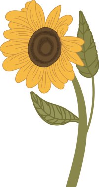 Detaylı taç yaprakları ve temiz vektör tarzında iki yapraklı bir ayçiçeği. Çiçek dokulu bir merkezi ve uzatılmış bir gövdeye sahiptir. Çizgi film vektör illüstrasyonu.