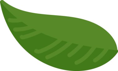 Düz bir tarzda belirgin damarları olan tek bir kavisli yaprak. Yaprak düz çizgiler ve basit bir şekille tasvir edilir. Çizgi film vektör illüstrasyonu.