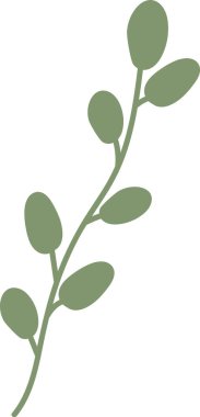 Düz yapraklı, oval yapraklı basit bir dal. Dal, ince bir gövde boyunca sıralanmış pürüzsüz ve yuvarlak yapraklara sahiptir. Çizgi film vektör illüstrasyonu.