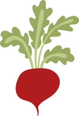 Düz yapraklı yeşillikli bir turp. Sebze cesur şekiller ve düz çizgilerle tasvir edilir. Çizgi film vektör illüstrasyonu.