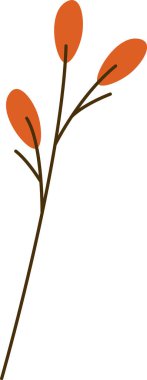 Çizgi film tarzında üç oval yapraklı bir dal. Resimde, uzun yapraklı ince bir dal tasvir ediliyor. Çizgi film vektör illüstrasyonu.