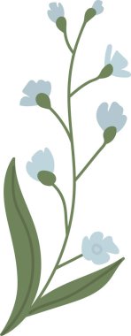 Küçük çiçekleri ve uzun yaprakları olan ince bir gövde. Temiz ve basit bir şekilde. Bitkide ince bir sapın üzerinde yumuşak çiçekler ve pürüzsüz yapraklar bulunur. Çizgi film vektör illüstrasyonu.