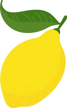 Düz bir yaprağı olan bir limon. Meyve pürüzsüz çizgiler ve dokulu bir yüzeyle tasvir edilir. Çizgi film vektör illüstrasyonu.