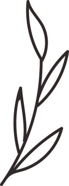 Uzun yapraklı tek bir dal, temiz bir sanat tarzında. Çizimde sivri yapraklı bir dalın minimalist tasviri yer alıyor. Çizgi film vektör illüstrasyonu.