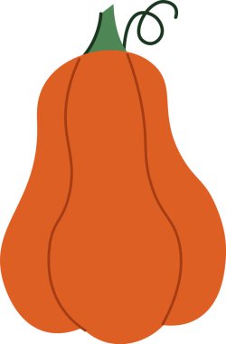 Yumuşak yüzeyi ve kıvırcık sapı olan bir çizgi film balkabağı. Sebze basit ve eğlenceli bir şekilde tasvir edilir ve cesur hatları vardır. Çizgi film vektör illüstrasyonu.