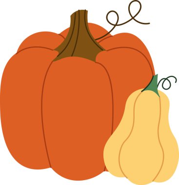 Çizgi film tarzında büyük bir balkabağı ve daha küçük bir kabak. Kabak ve kabak düz çizgiler ve basit şekillerle tasvir edilir. Çizgi film vektör illüstrasyonu.