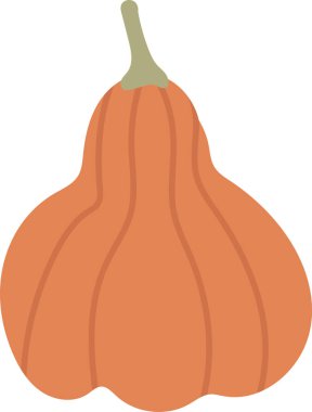 Çizgi film tarzında kıvrımlı bir kabak. Sebzelerin düz çizgileri ve basit bir şekli vardır. Çizgi film vektör illüstrasyonu.