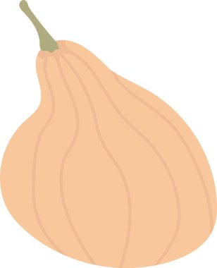 Çizgi film tarzında düzgün kıvrımlı stilize edilmiş bir balkabağı. Sebze basit çizgiler ve yumuşak bir dokuyla tasvir edilir. Çizgi film vektör illüstrasyonu.