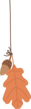 Çizgi film tarzında bir meşe yaprağı ve meşe palamudu ipe asılır. Meşe palamudu ve yaprak eğlenceli bir çizimle birlikte askıya alınır. Çizgi film vektör illüstrasyonu.