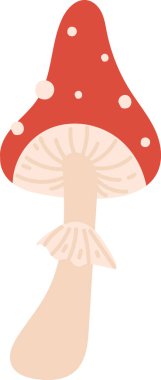 Karikatür sineği mantarı. Pürüzsüz kapaklı ve noktalı detaylar. Şakacı bir tarzda. Mantar, büyüleyici bir tasvirde yuvarlak ve dokulu bir gövdeye sahiptir. Çizgi film vektör illüstrasyonu.