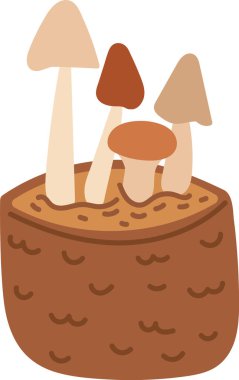 Mantarlar çizgi film tarzında desenli bir çömlekten çıkar. Mantarlar eğlenceli bir çizim yaklaşımıyla bir konteynırdan çıkar. Çizgi film vektör illüstrasyonu.