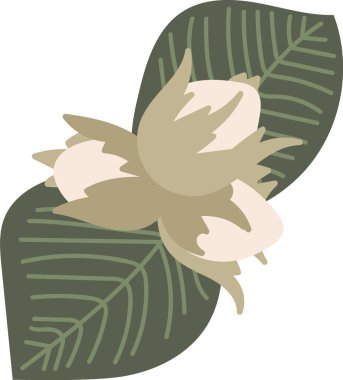 Çizgi film tarzında geniş yaprakları olan stilize bir çiçek. Kompozisyonda ayrıntılı yeşillik ve merkezi bir çiçek var. Çizgi film vektör illüstrasyonu.