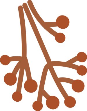 Dairesel sonu basit bir çizgi film tarzıyla biten stilize bir dal. Resimde uzuvlarında yuvarlak düğümler olan ağaç benzeri bir şekil gösteriliyor. Çizgi film vektör illüstrasyonu.