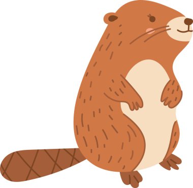 Yuvarlak vücutlu neşeli bir kunduz ve kürkü çizgi film tarzında. Resimde düz kuyruklu ve küçük kulaklı mutlu bir kemirgen tasvir ediliyor. Çizgi film vektör illüstrasyonu.