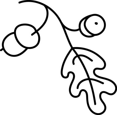 Meşe yaprağının basit bir çizimi, meşe palamudu ve temiz bir tarzı var. İllüstrasyonda iki meşe palamudu ve minimalist formda bir yaprak görülüyor. Çizgi film vektör illüstrasyonu.