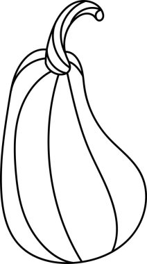Kabak, kıvrımlı bir gövde, kalın bir taslak şeklinde çizilmiş. Sebze düz çizgiler ve basit hatlarla tasvir edilir. Çizgi film vektör illüstrasyonu.