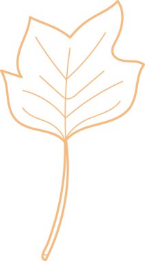 Basit bir şekilde ince çizgilerle çizilmiş tek bir akçaağaç yaprağı. Yaprakların damarları ve sapları minimalist bir yaklaşımla açıkça tanımlanmıştır. Çizgi film vektör illüstrasyonu.