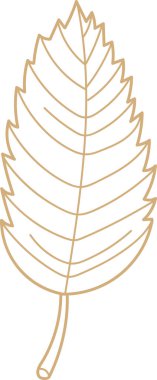 Tek bir yaprak, temiz bir çizgi şeklinde çizilmiş damarlar. Yaprakların hatları pürüzsüz ve akıcı çizgilerle çizilmiş. Çizgi film vektör illüstrasyonu.